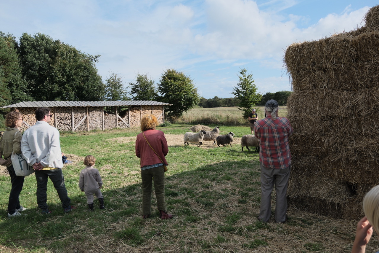 © Rachel Dagnall / Henning Christiansen Arkiv, Møn DK