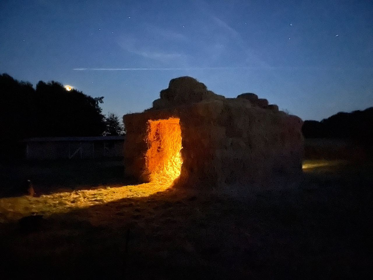 © Rachel Dagnall / Henning Christiansen Arkiv, Møn DK