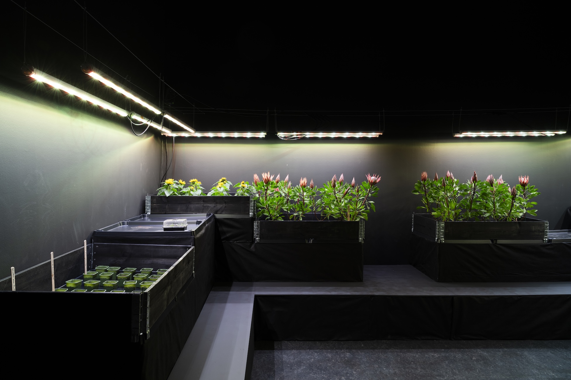 At Bergen Kunsthall, the Zambian-Norwegian artist Anawana Haloba presented From This Darkness I Shall Grow. © Thor Brødreskift