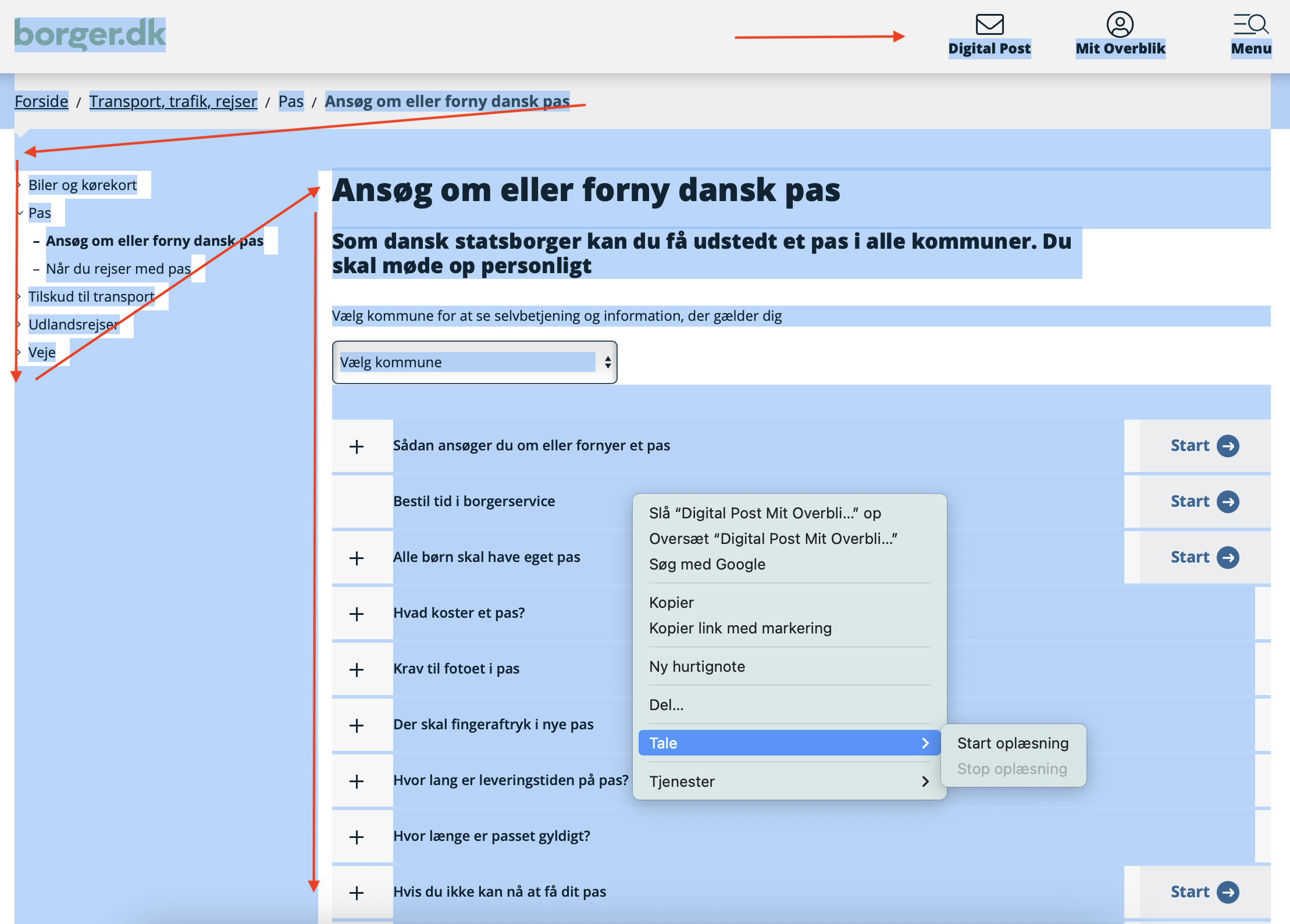Illustration: A screenshot from the Danish common public portal Borger.dk showing the sub-page guiding you how to apply for (or renew) a passport, https://www.borger.dk/transport-trafik-rejser/Pas/Ansoeg-om-eller-forny-dansk-pas, on an Apple/macOS computer. The user has marked all text and is about to choose “Tale” (Speech) and “Start oplæsning” (Start reading aloud). The red arrows are added to the screenshot to indicate the order and direction in which the synthetic voice is reading the text, beginning top-left, line-by-line, to the bottom-right.