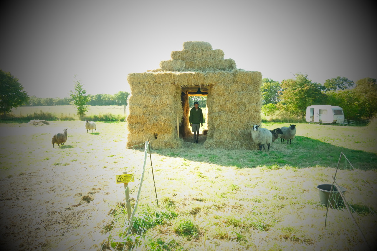 © Rachel Dagnall / Henning Christiansen Arkiv, Møn DK