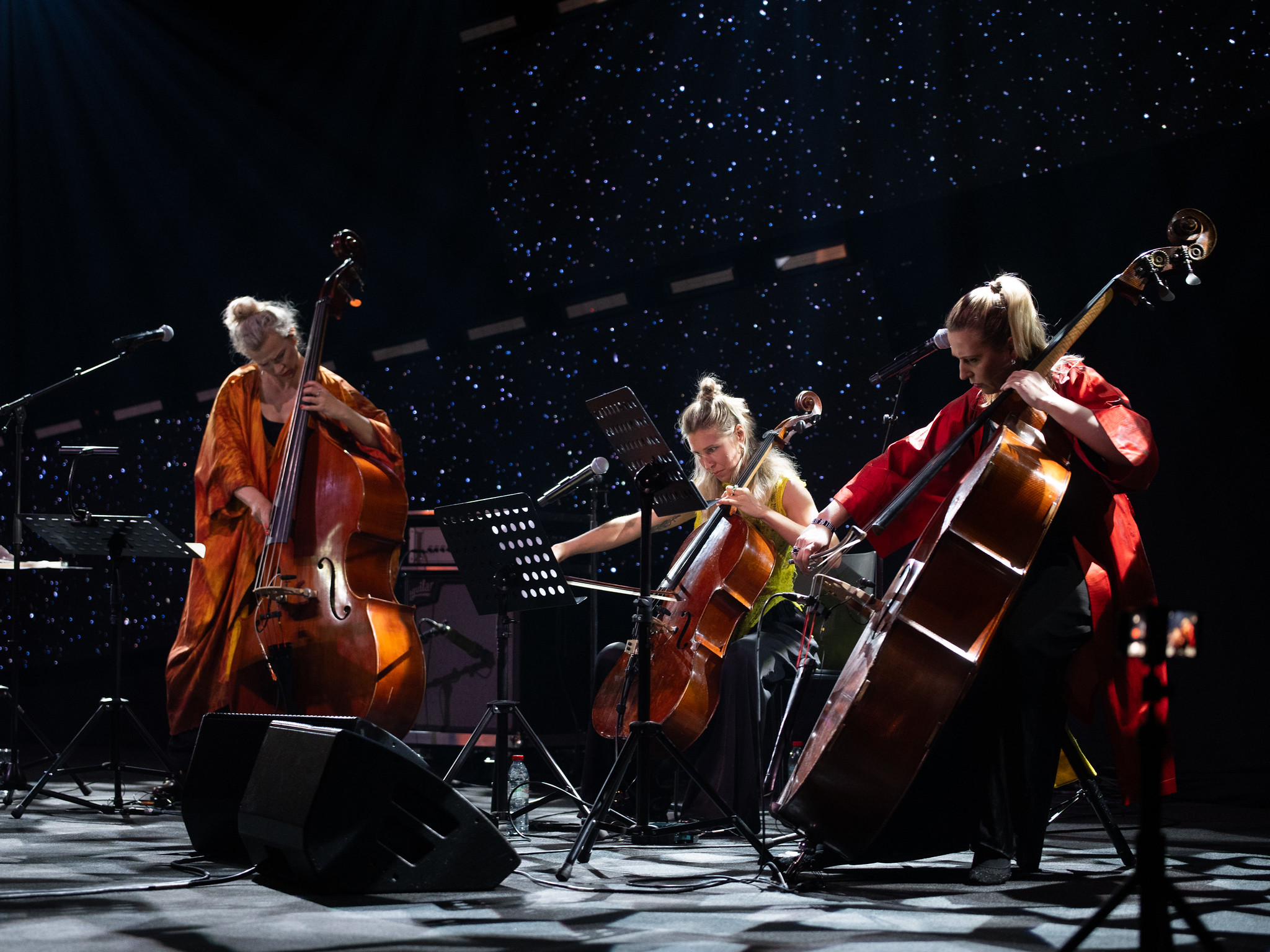 Kontrabassisten Mingo Rajands Lady Sapiens spændte to kontrabasser, cello og bratsch ud mellem minimalisme, elektronik og baltiske folketoner