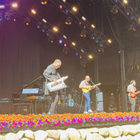 © Andreo Michaelo Mielczarek