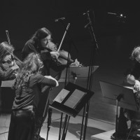 © Caroline Bittencourt