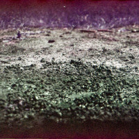 Sune Pors: »Convalescence«