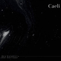 Bára Gísladóttir og Skúli Sverrisson: »Caeli«. © Sono Luminus