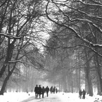 Still fra ‘Dyrehaven, den romantiske skov’. © Laterna Film Still fra ‘Dyrehaven, den romantiske skov’. © Laterna Film