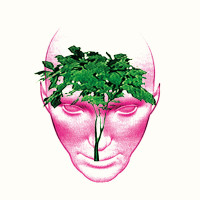 Kaj Duncan David: »All Culture Is Dissolving«. © Carl-John Hoffmann