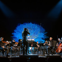 Lil Lacy: »You are somehow connected«. © Martin Dam Kristensen