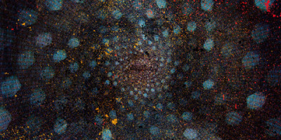 Jacob Anderskov: »Spirit of the Hive« Jacob Anderskov: »Spirit of the Hive«
