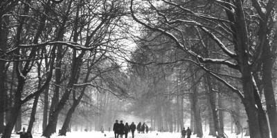 Still fra ‘Dyrehaven, den romantiske skov’. © Laterna Film Still fra ‘Dyrehaven, den romantiske skov’. © Laterna Film