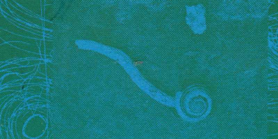 E.O.M. og Alexander Holm: »A Limb Between Two Greens«. © Sensorisk Verden E.O.M. og Alexander Holm: »A Limb Between Two Greens«. © Sensorisk Verden