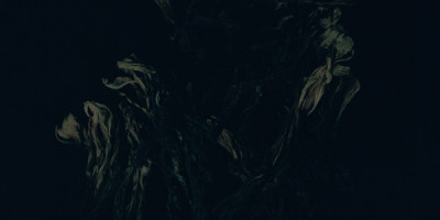 August Rosenbaum: »Rhizome«. © Hiatus August Rosenbaum: »Rhizome«. © Hiatus