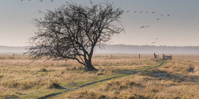 Kalvebod Fælled. © Sylvia Adams/Shutterstock.com