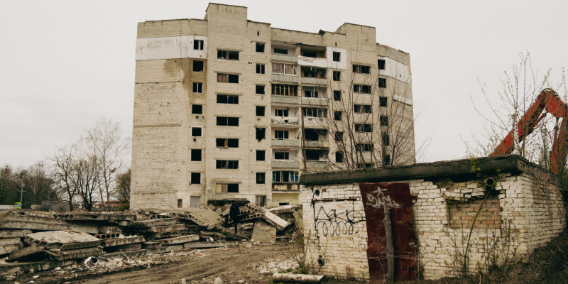  Borodzianka. © Joanna Kwapień