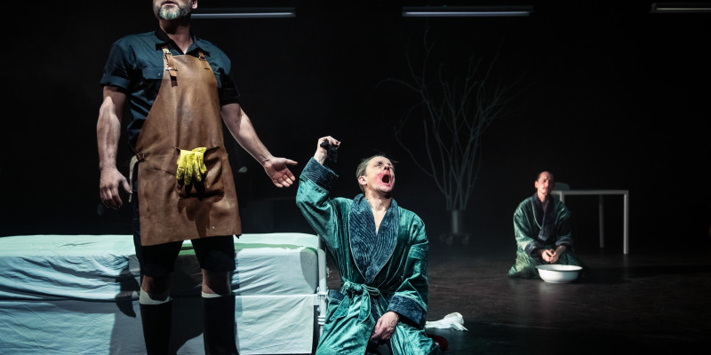 »Pan« på Det Kongelige Teater. © Søren Meisner »Pan« på Det Kongelige Teater. © Søren Meisner