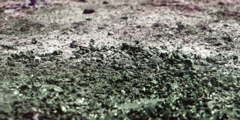 Sune Pors: »Convalescence«