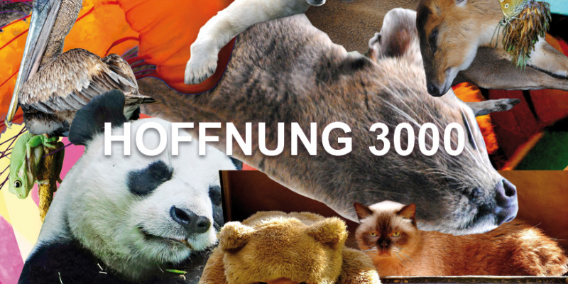 Hoffnung 3000.