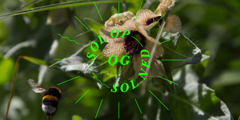 © Louis André Haugaard Jørgensen