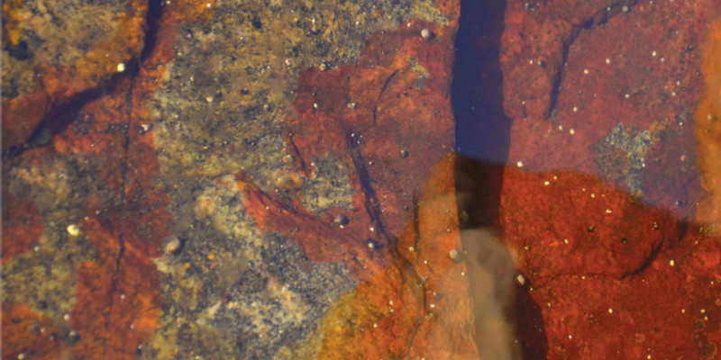 Tine Surel Lange: »Works for Listening 1-10«. © Sofa Music