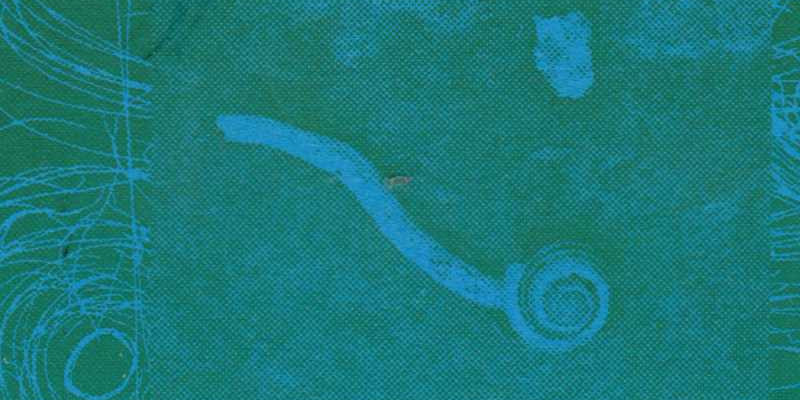 E.O.M. og Alexander Holm: »A Limb Between Two Greens«. © Sensorisk Verden