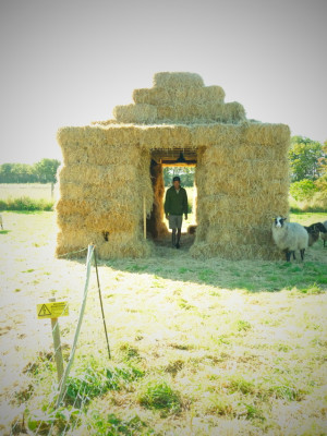 © Rachel Dagnall / Henning Christiansen Arkiv, Møn DK  © Rachel Dagnall / Henning Christiansen Arkiv, Møn DK