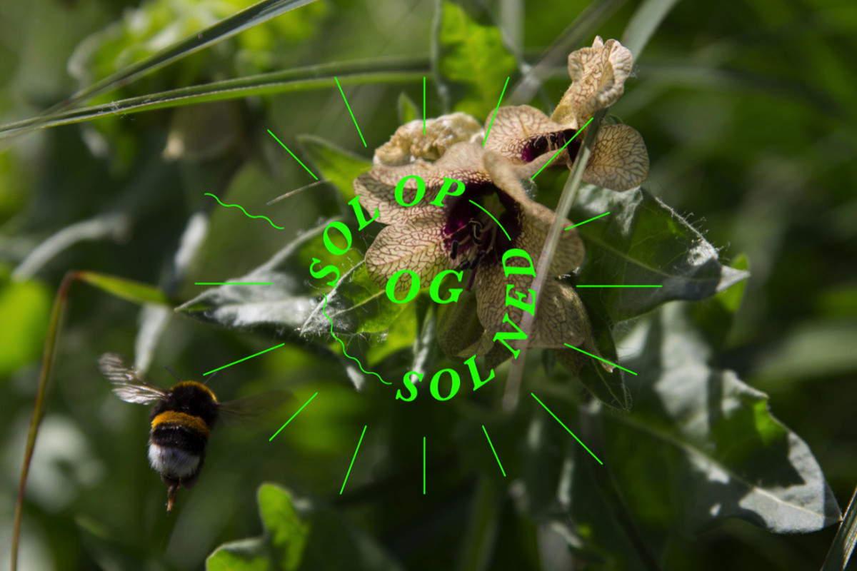 © Louis André Haugaard Jørgensen