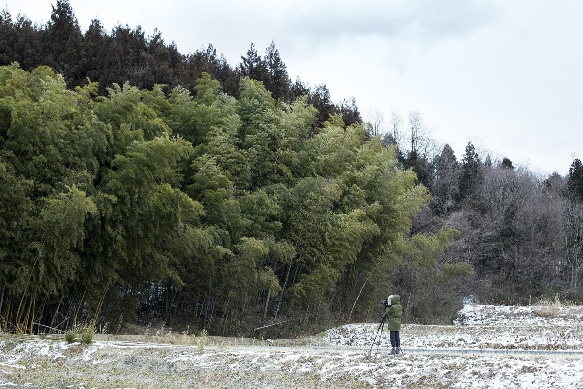 Foto: Takashi Arai