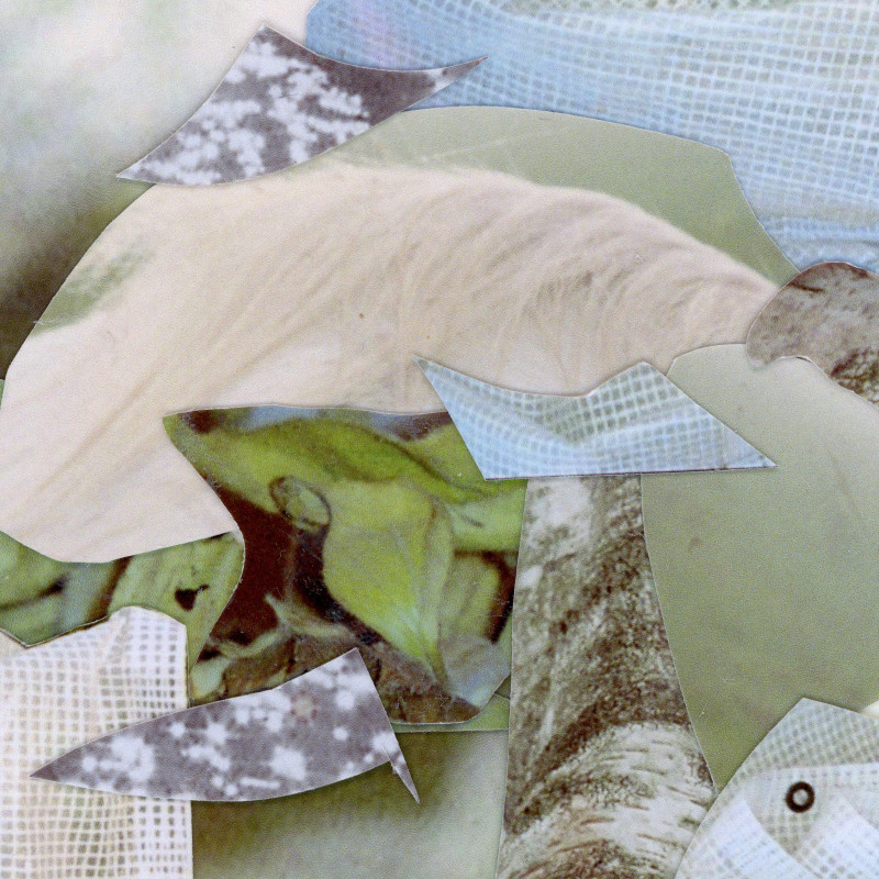 © Quiver: »Artificial Tranquility«