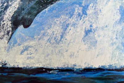 © Songs of the Humpback Whale (cover art extract)