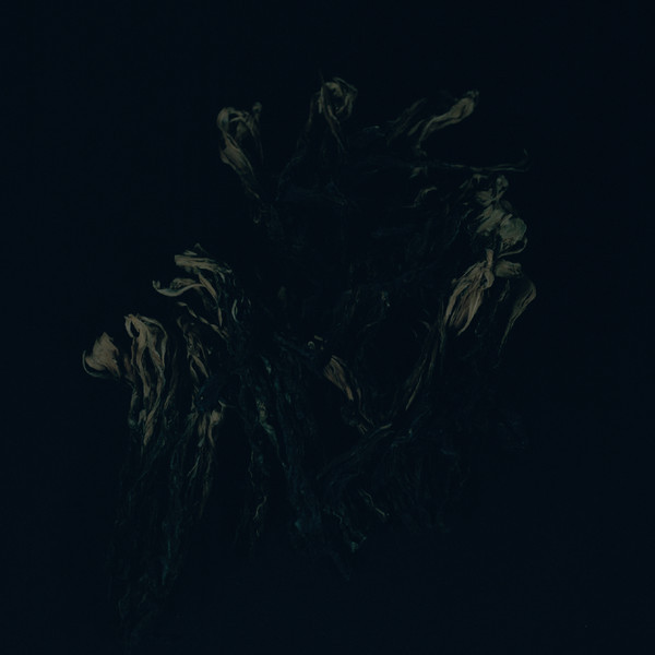 August Rosenbaum: »Rhizome«. © Hiatus