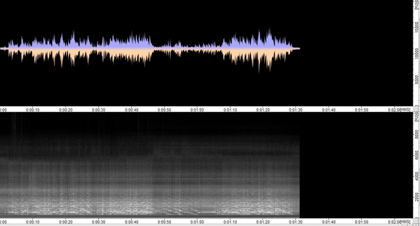 Figure 12: Fireside, 160 rpm, new model recorder, glass diaphragm, 890mm small zinc horn (130mm by 890mm)