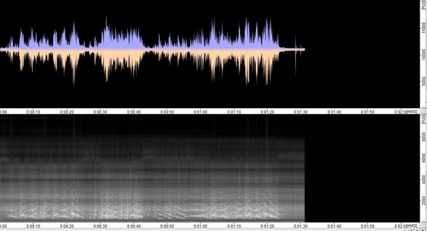 Figure 13: Fireside, 160 rpm, new model recorder, glass diaphragm, brass bell horn (762mm by 355mm)