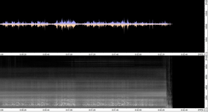 Figure 18: Fireside, 160 rpm, the automatic recorder, steel horn (480mm by 130mm)