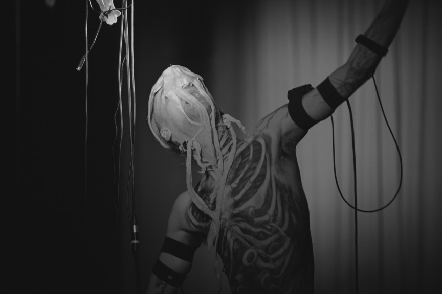 © Caroline Bittencourt