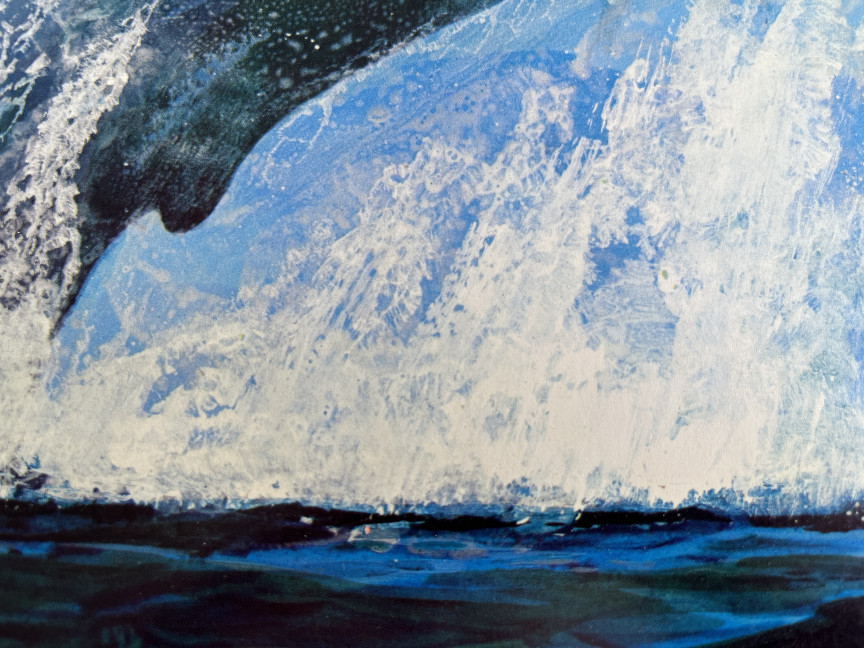 © Songs of the Humpback Whale (cover art extract)