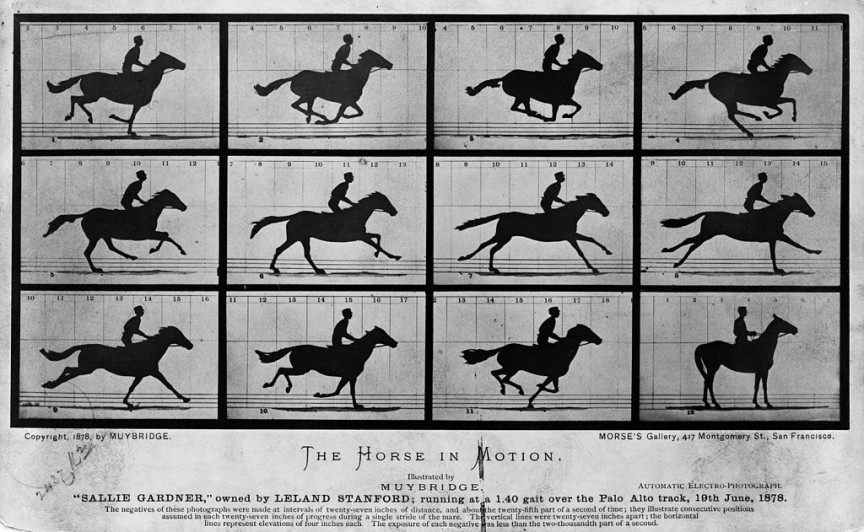 Eadweard Muybridge: “The Horse in Motion”. © Public domain