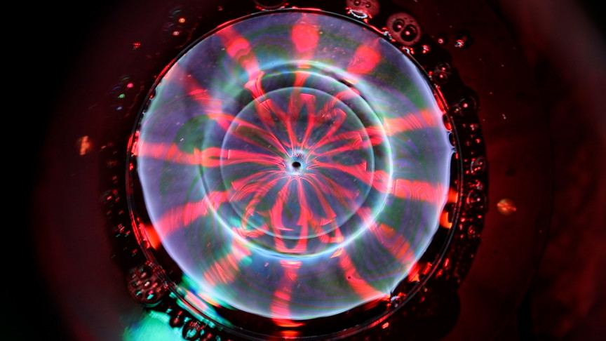 © »Toroidal Bodies«, Sammy Lee, 2023 