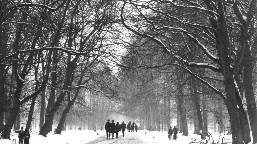 Still fra ‘Dyrehaven, den romantiske skov’. © Laterna Film Still fra ‘Dyrehaven, den romantiske skov’. © Laterna Film
