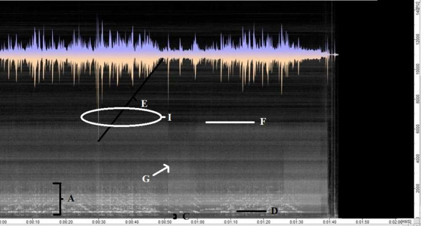 Figure 1: Digital recording of sine wave