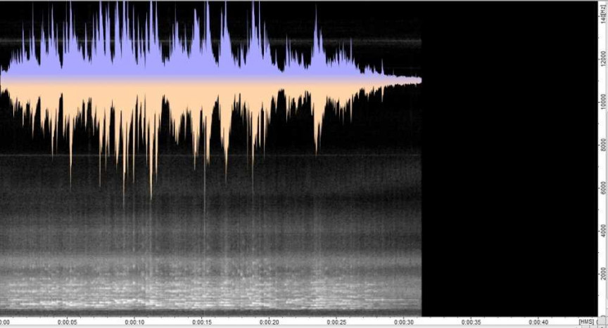 Figure 13: Fireside, 160 rpm, new model recorder, glass diaphragm, brass bell horn (762mm by 355mm)