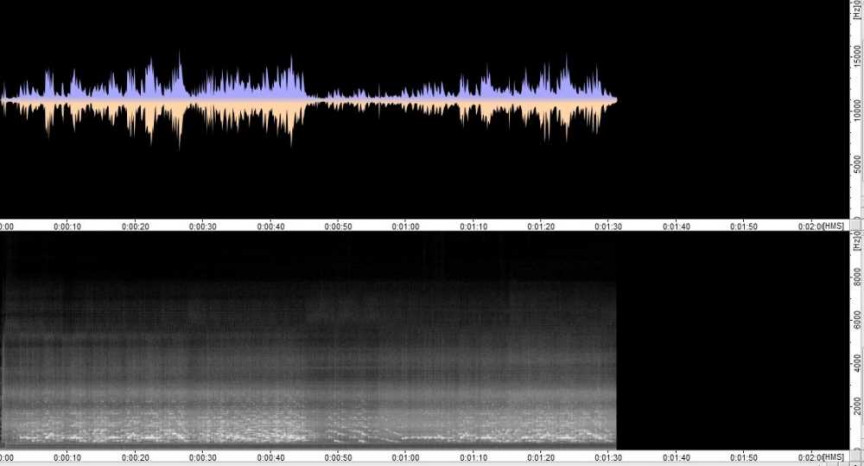 Figure 18: Fireside, 160 rpm, the automatic recorder, steel horn (480mm by 130mm)