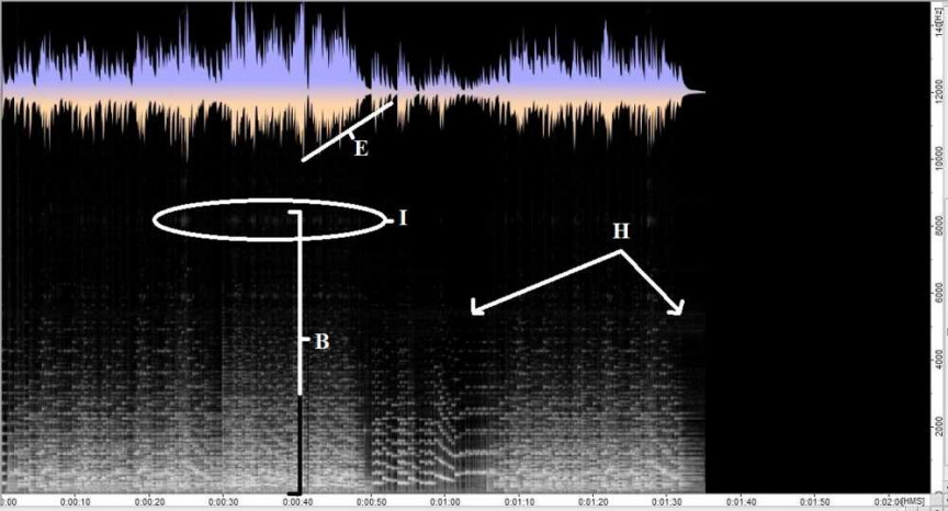 Figure 2: Edison Gem phonograph, new model recorder, glass diaphragm, large zinc horn