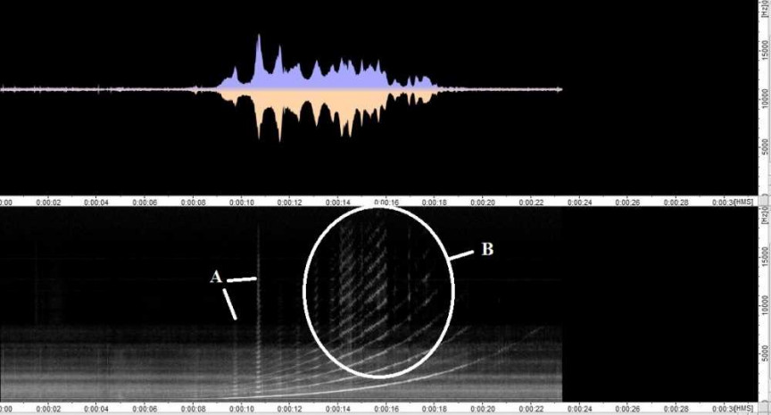 Figure 3: Edison Standard phonograph, new model recorder, glass diaphragm, large zinc horn